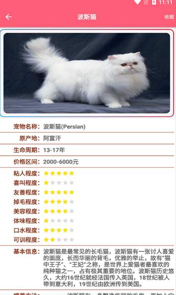 宠物宝宝大全app官方版