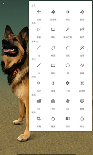 painter7.0.41版本0