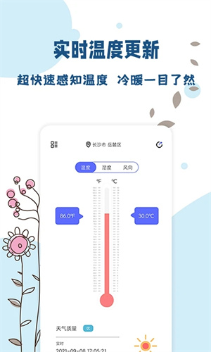 标准温度计APP4495