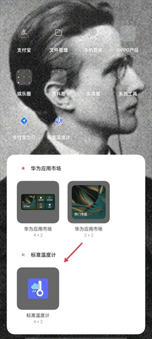 标准温度计app下载免费版手机版桌面插件怎么设置