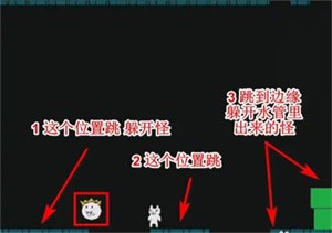 超级猫里奥通关攻略截图9