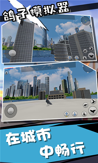 鸽子模拟器中文版1