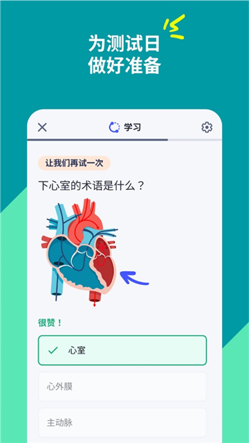 quizlet安卓版6219