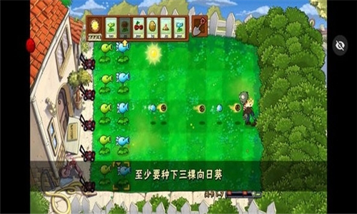 植物大战僵尸活死人之园扩展版13387