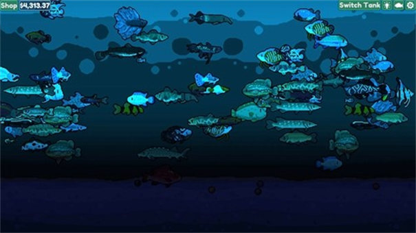 轻松水族馆2025最新版13636