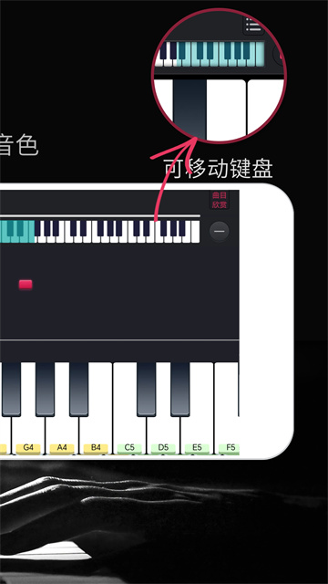 模拟钢琴手机版1