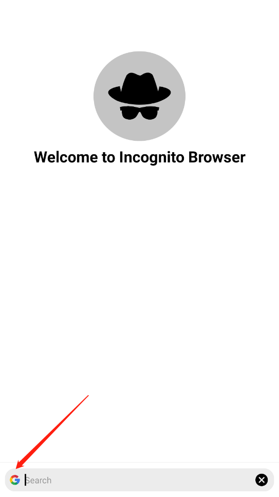 Incognito Browser