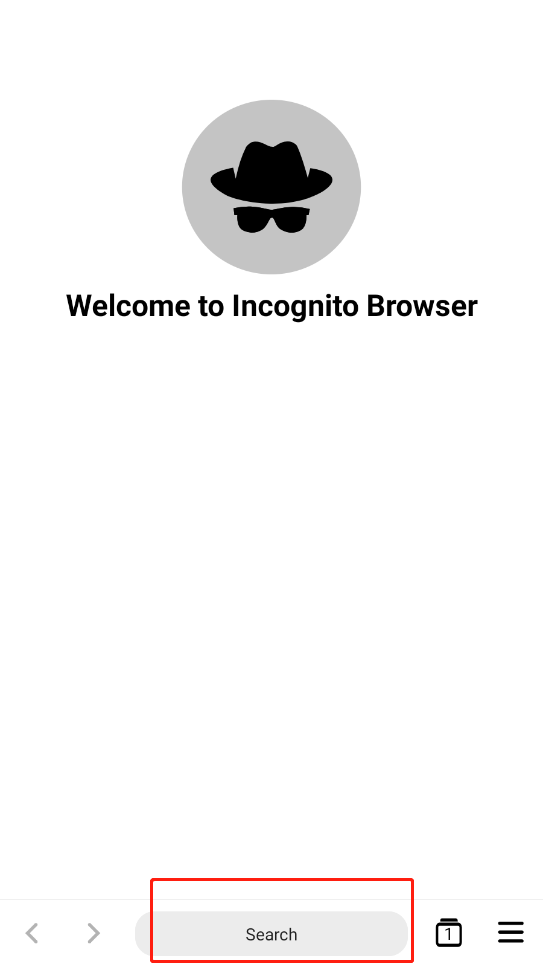 Incognito Browser