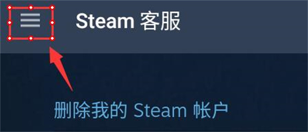 Steam