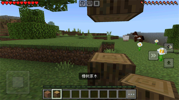 Minecraft国际版