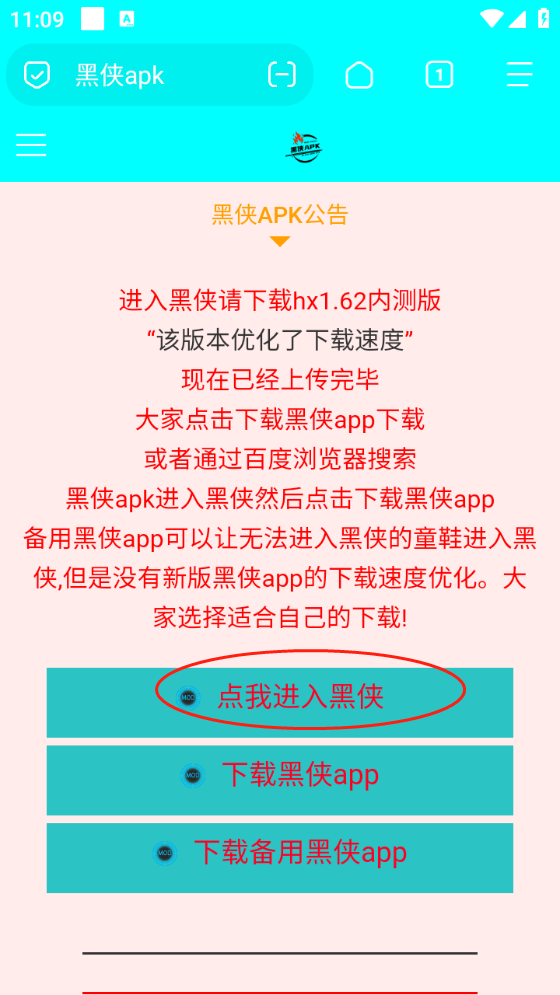 黑侠apk