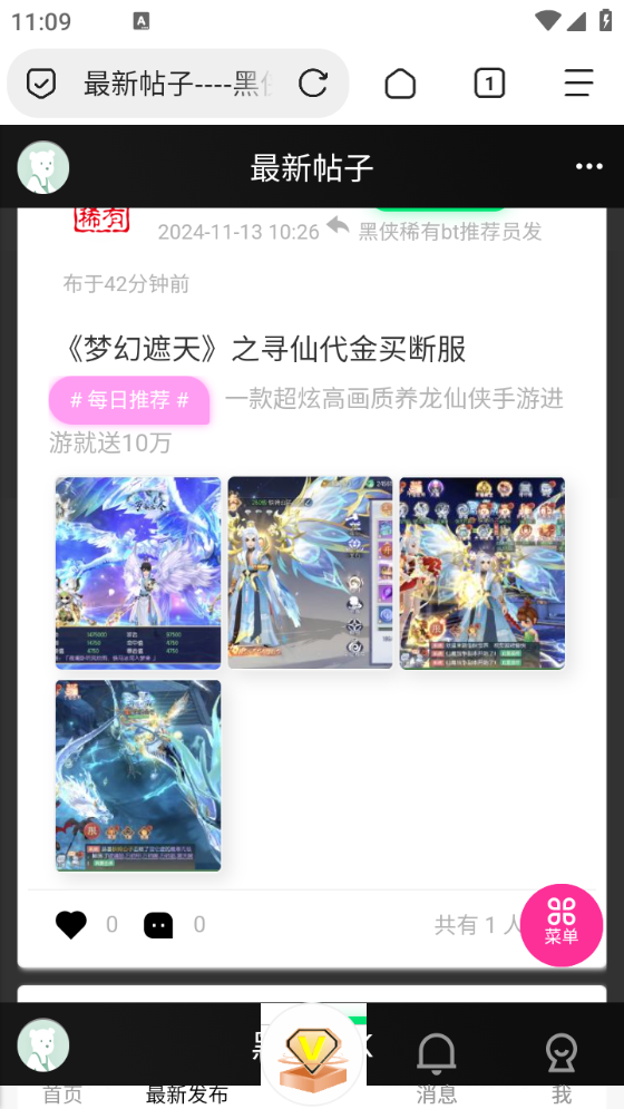 黑侠apk