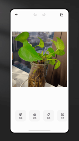 CCD复古相机滤镜-0 CCD复古相机滤镜