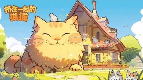 挤在一起的猫猫1