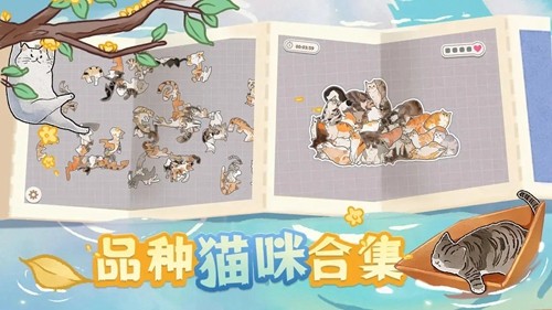 挤在一起的猫猫3