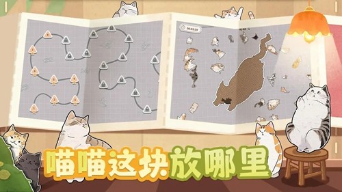 挤在一起的猫猫2