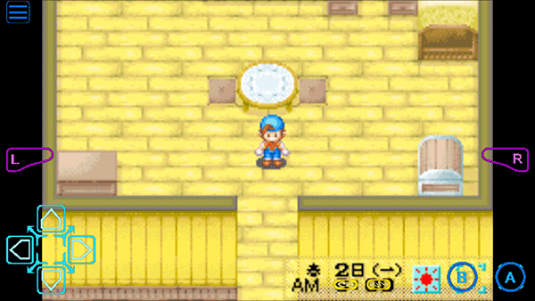 牧场物语矿石镇的伙伴们2