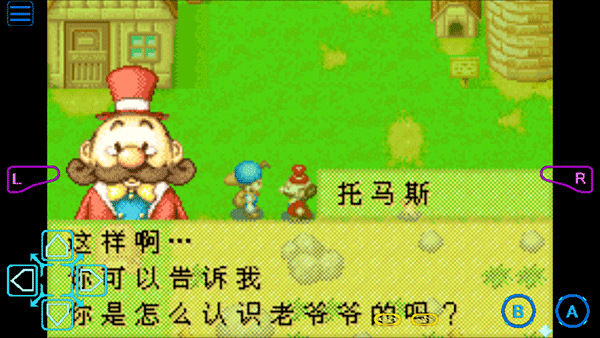 牧场物语矿石镇的伙伴们3