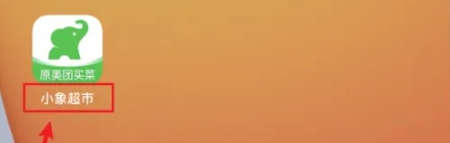 小象超市app