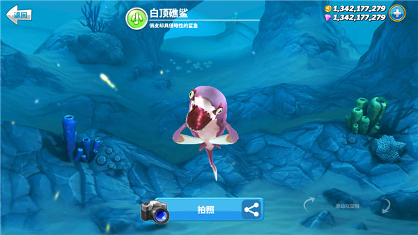HungrySharkworld国际版1