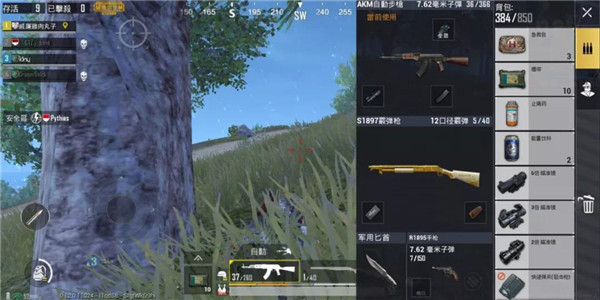 和平精英美化包2