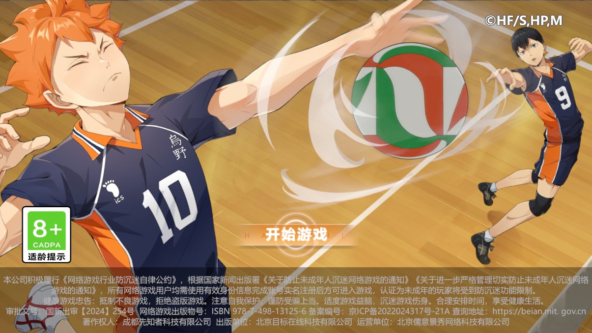 排球少年新的征程