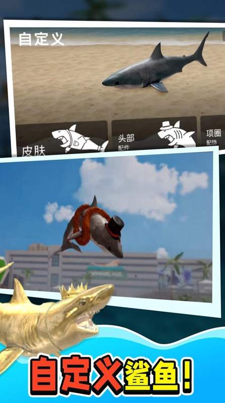 动物鲨鱼大猎杀游戏