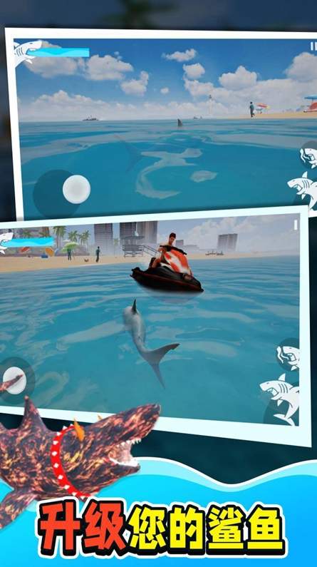 动物鲨鱼大猎杀游戏