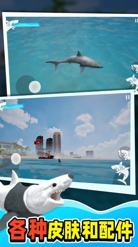 动物鲨鱼大猎杀游戏