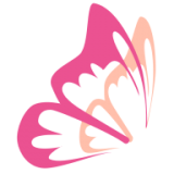 花蝶(资源搜索)app安卓版