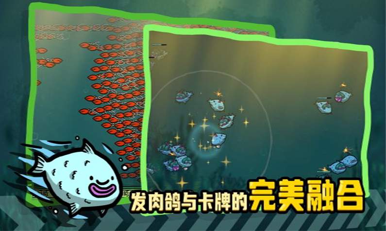 河豚农场