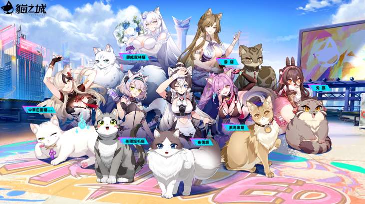猫之城台服2
