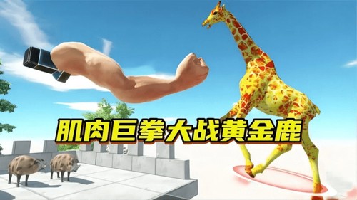 动物穿过3