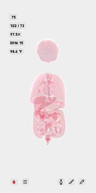 生命人体模拟器汉化破解版