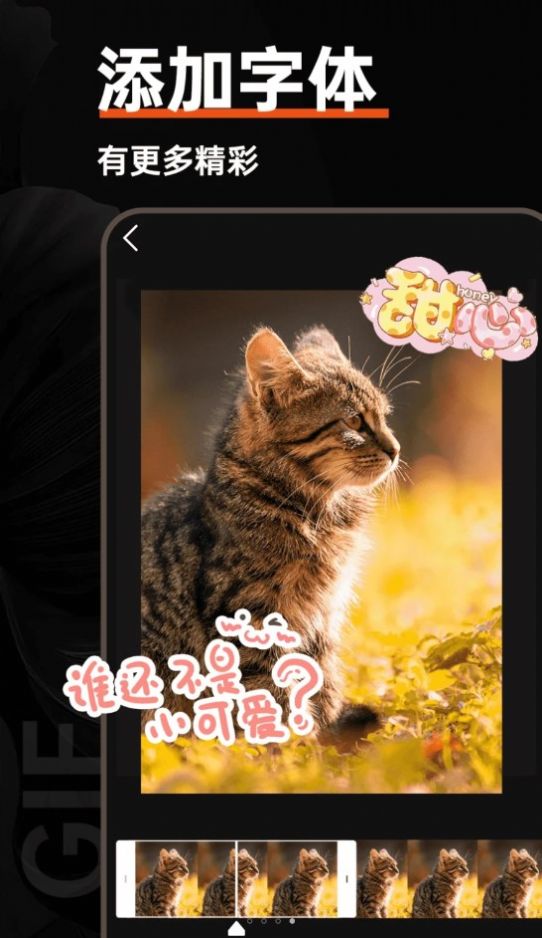 GIF动图工具1
