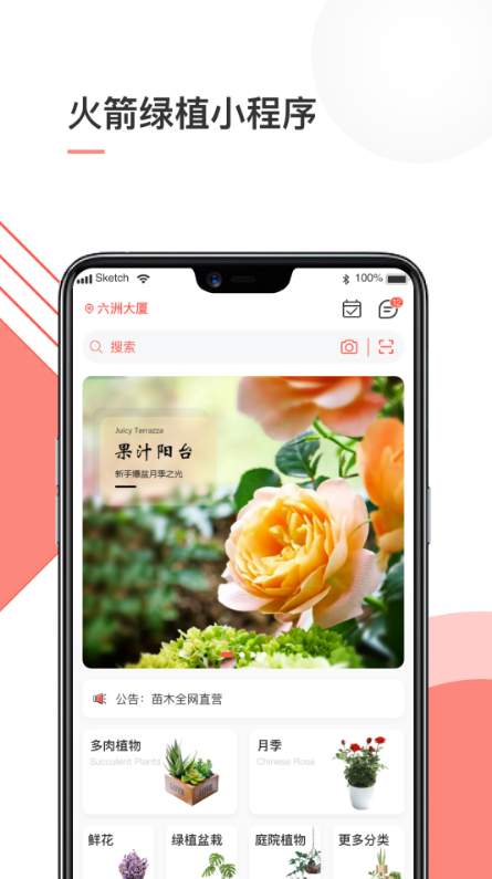 火箭绿植1