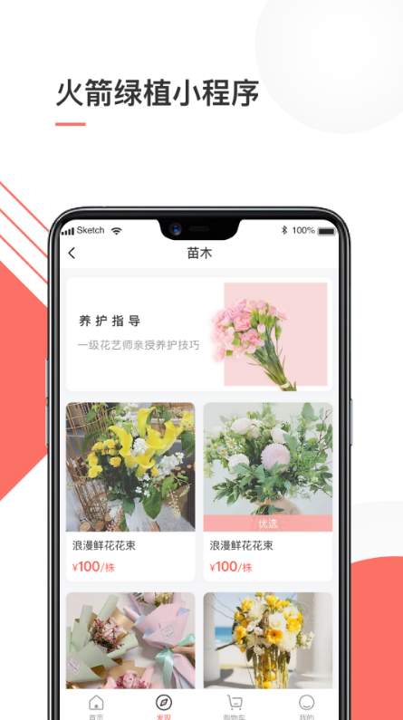 火箭绿植2