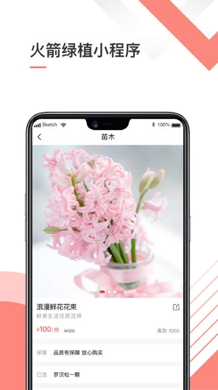 火箭绿植3