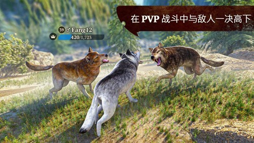 狼族模拟进化2