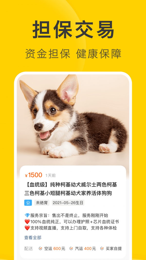 买只宠物官方版