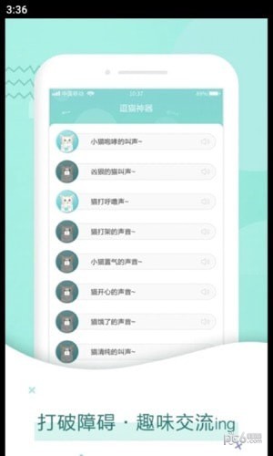 宠猫翻译-2 宠猫翻译