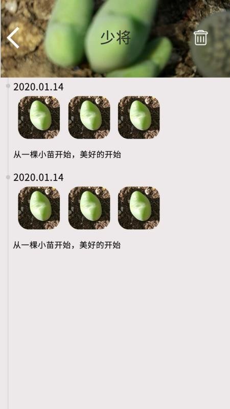 多肉花草日记1