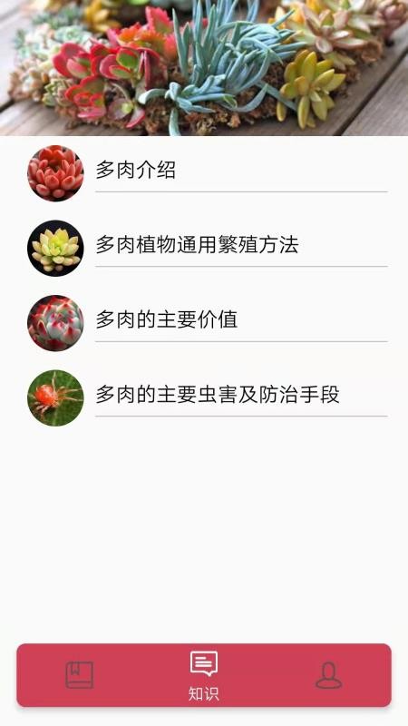 多肉花草日记3
