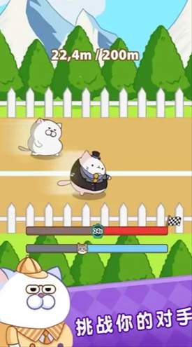肥猫快跑