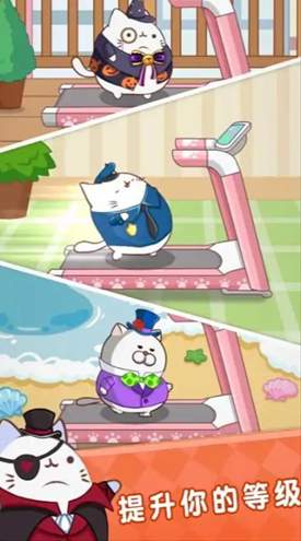 肥猫快跑