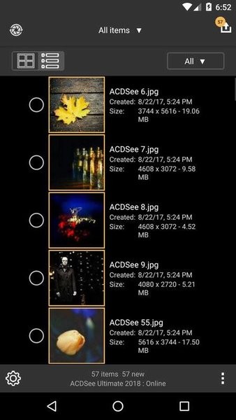 acdsee3.1
