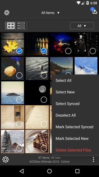 acdsee3.1-1 acdsee3.1