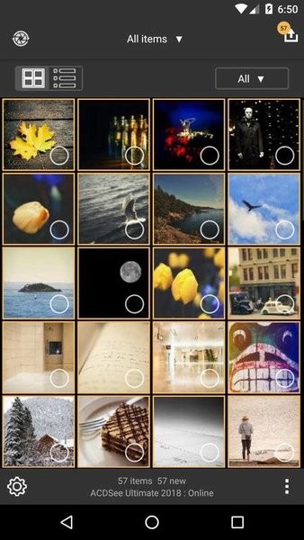 acdsee3.1-2 acdsee3.1