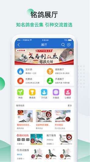 中国信鸽信息网app1