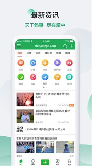 中国信鸽信息网app2